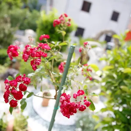 Apartman Elena Ii Kat Vodice