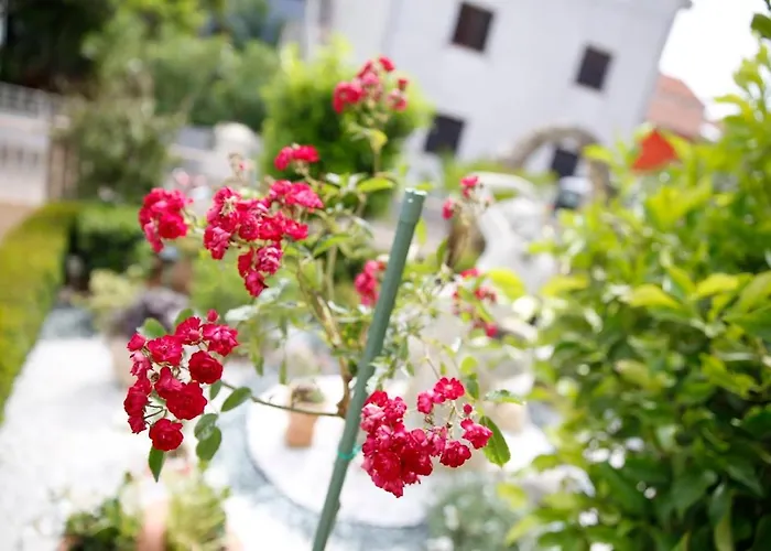 Appartement Elena Ii Kat Vodice